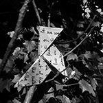 Messenger paper bird